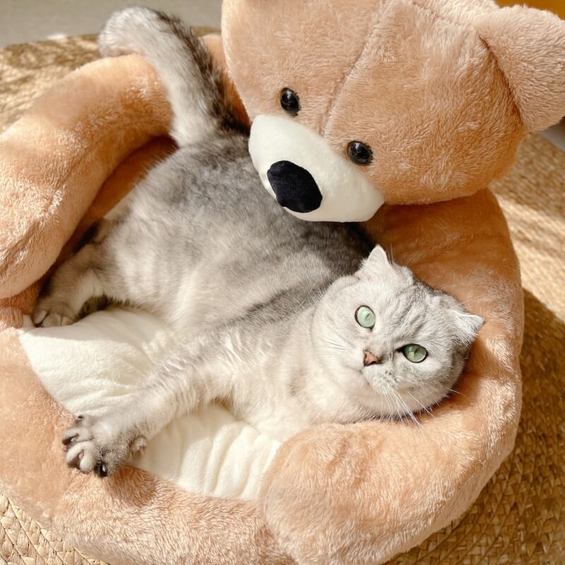 CuddleNest - Plysch Kattbädd i Björndesign för Komfort och Mysighet