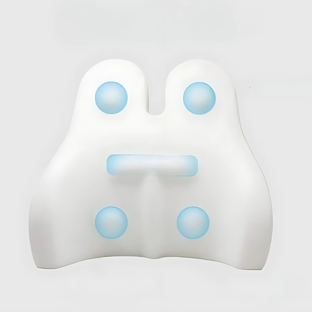 ErgoFlow - Ryggstödskudde med minnesskum för ergonomisk stöd och smärtlindring