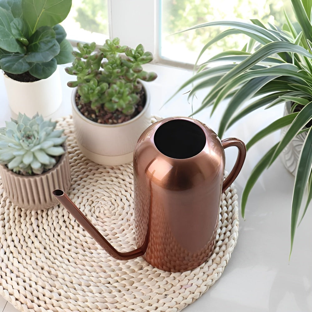 GreenEase - Elegant Vattenspruta i Rostfritt Stål för Exakt Vattning 1,5L