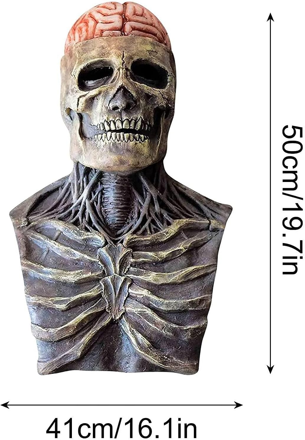 SpookyMask - Realistisk Halloween Skallemask med Hjärndetalj för Maximalt Intryck