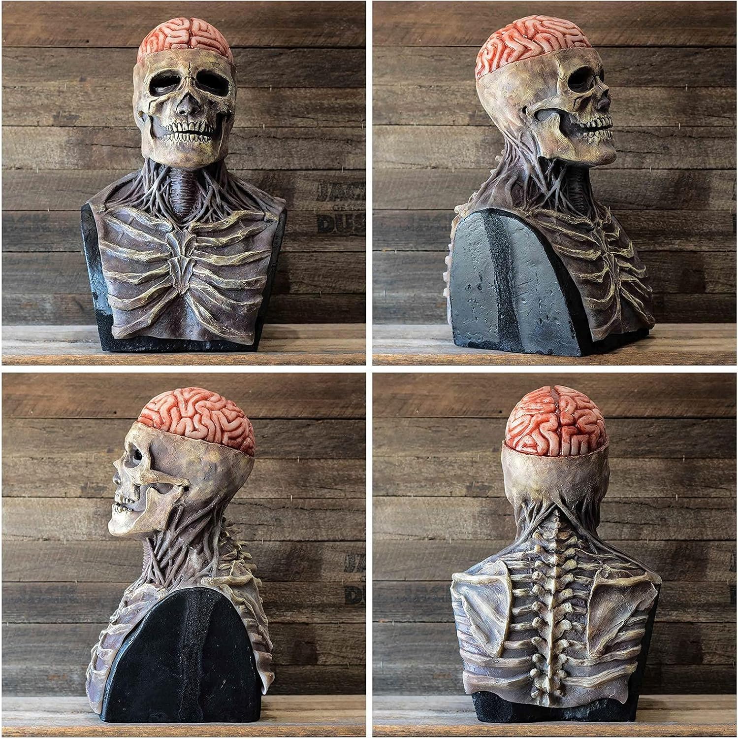 SpookyMask - Realistisk Halloween Skallemask med Hjärndetalj för Maximalt Intryck