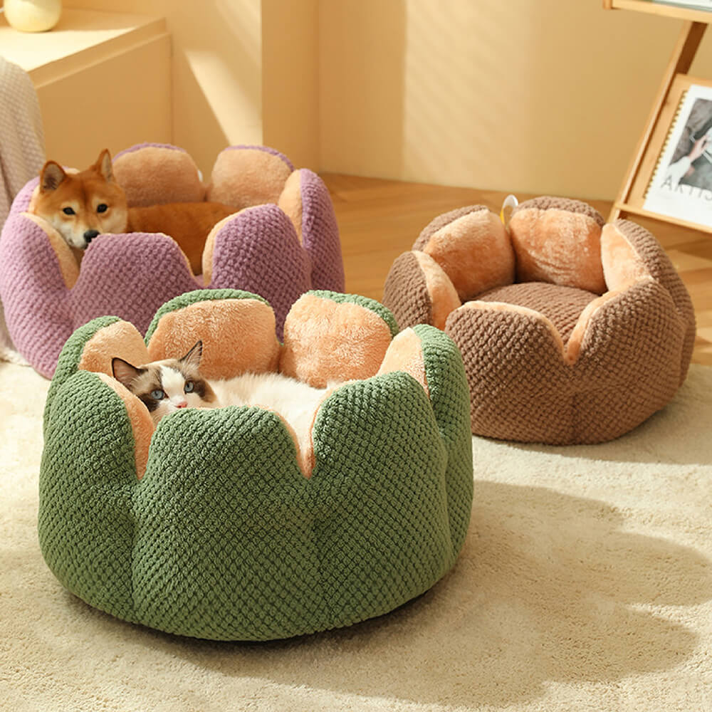 PawComfort - Mjuk Blomformad Katt- och Hundsäng för Ultimat Avkoppling